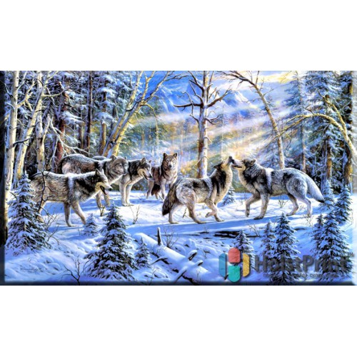 Картины с волками, , 168.00 грн., JVV777001, , Картины Животных (Репродукции картин)